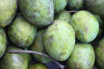 Many many raw mangoes are arranged to be very beautiful