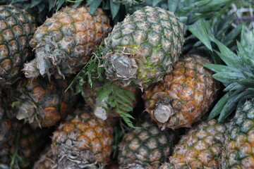 lots of pineapple fruit together in the market