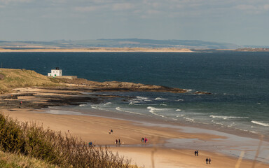 People walking on the beach with their dogs