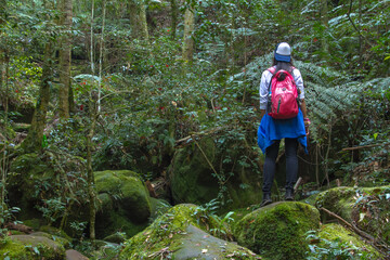 Obraz premium hiking in the woods