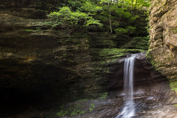 waterfall in the forest