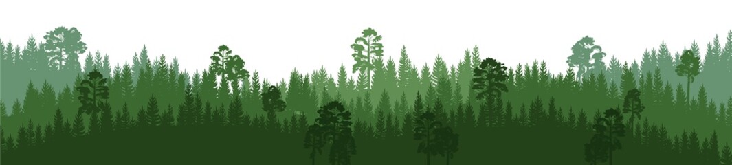 Pine forest. Silhouettes of coniferous trees. Wild landscape horizontally. Nice panoramic view. Beautifully illustration isolated on white background. vector