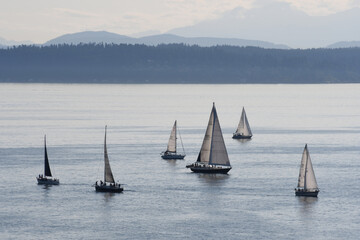 Fototapeta premium Group of sailboats in the ocean