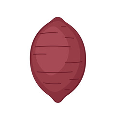 Sweet Potato vector.  Sweet Potato on white background.
