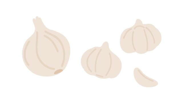 Composition of whole onion bulb, garlic cloves and heads. Fresh spicy vegetables. Aromatic organic food. Natural seasonings. Flat vector illustration isolated on white background