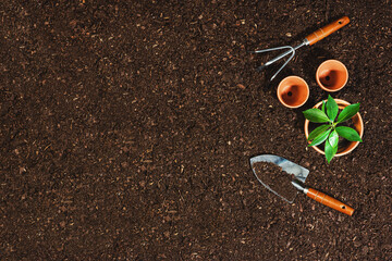 Gardening tools on soil background. Working in the garden