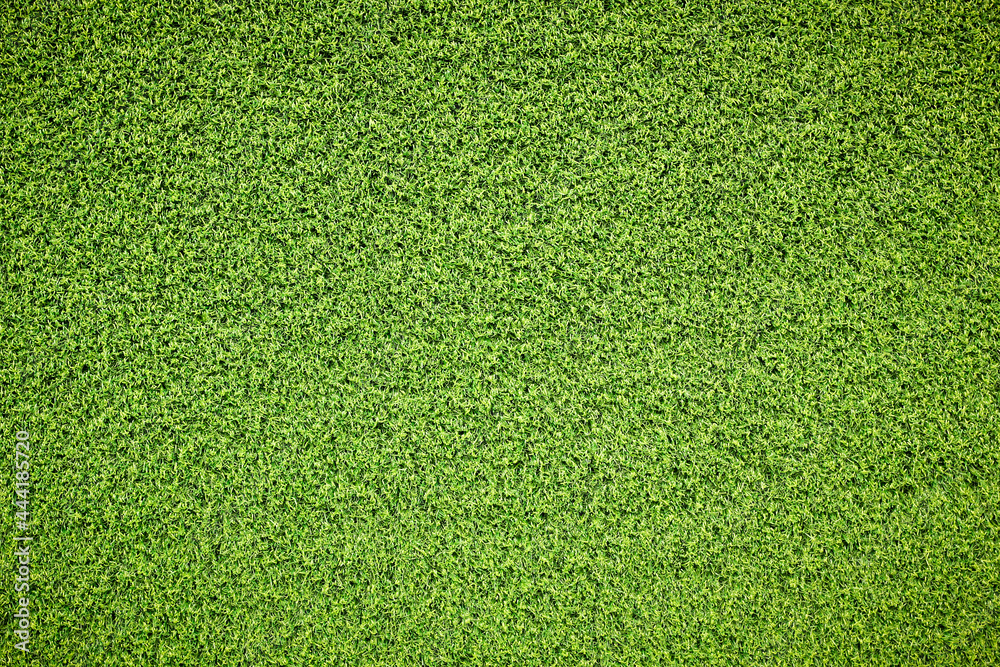 Canvas Prints top view green grass texture for background