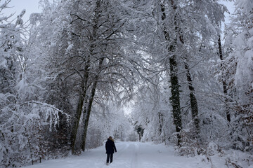 femme marchant sur un chemin de forêt enneigé - Suisse