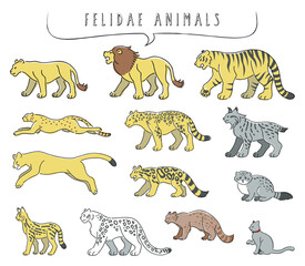手描き風のネコ科の動物のイラストセット