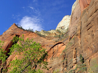 Awe-inspiring steep and colorful red and white canyon walls  on a sunny day in zion national park,...