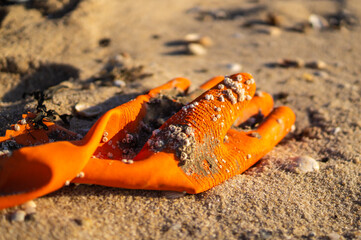 beach waste