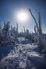 Mt.Kitayatsugatake, Kitayokodake, Tsuboniwa, Shimagareyama, Chausuyama 冬の北八ヶ岳、北横岳、坪庭、茶臼山、縞枯山トレッキング