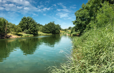 Fototapeta premium A beautiful pond in a forested area with aquatic plants and trees on the shore under cloudy summer sky with white clouds 