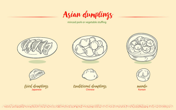 Hand-drawn vector illustration dumplings by retro style, three kinds of popular dumplings from Asia. steamed, fried, and water boiled dumplings.