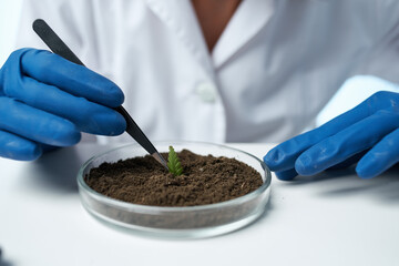 female laboratory assistant biologist soil research biotechnology