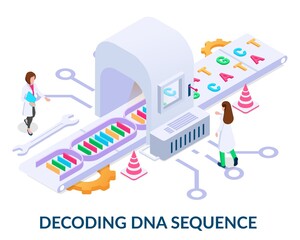 Decoding dna sequence concept. People untwist the dna chain and divide it into its components. Vector illustration in isometric style on white background