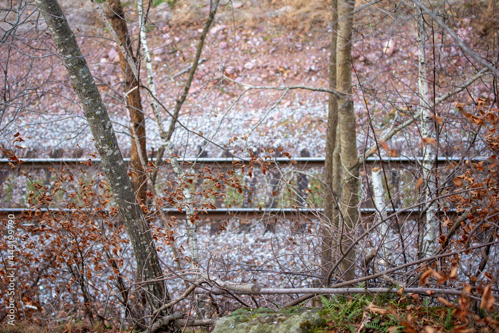 Wall mural abstract high angle view of a winter snow dusted railroad track at the bottom of a rustic ravine wit