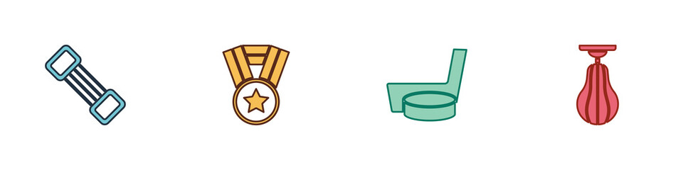 Set Chest expander, Medal, Ice hockey stick puck and Punching bag icon. Vector