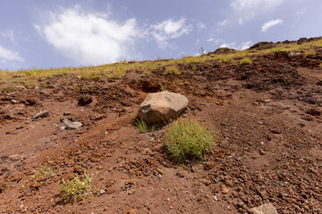 Mountainside of Mount Vesuvius volcano covered with volcanic tuff, Italy