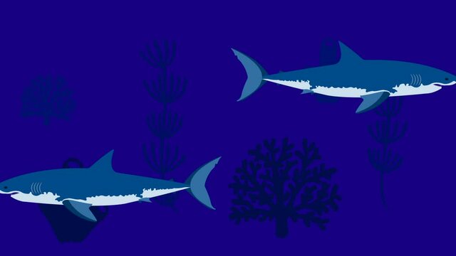 Two sharks on the seabed, 4K Video motion graphic animation.