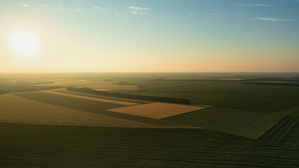 Fototapeta na wymiar Aerial view of growing crops of wheat at sunrise.