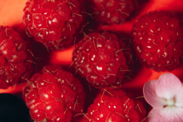 Fresh raspberries, berries for healthy nutrition and diet