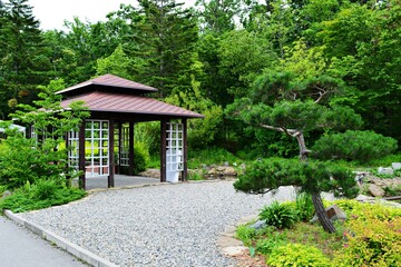 Small Japanese style gazebo in park next to pine bonsai tree
