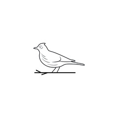 Bird outline vector Bird minimal vector design