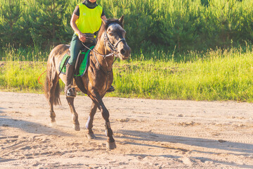 Competitor rival girl riding horse in summer field meadow.Young rider gallops through the summer...