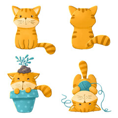 Collection of different funny cats on a white background