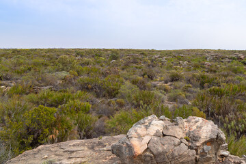 Landscape on the Bokkeveld Plateau close to Nieuwoudtville in the Northern Cape of South Africa