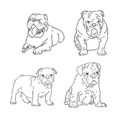 Dogs characters doodle sticker english bulldog. Funny animals isolated set