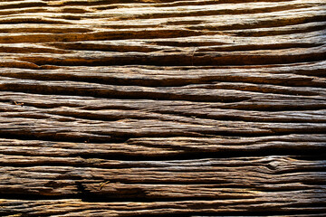 Old wood texture use as natural background, empty template.