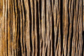 Old wood texture use as natural background, empty template.