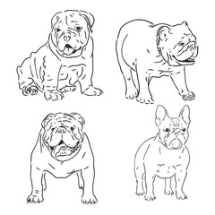 Dogs characters doodle sticker english bulldog. Funny animals isolated set