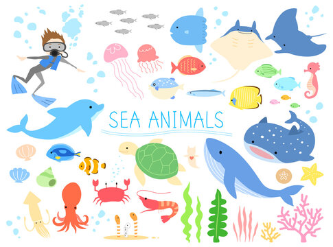 Sea animals vector illustration set.