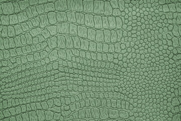 Background image - artificial textured crocodile skin green