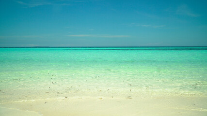Coast with Sandy beach and turquoise water. Bohol, Panglao island, Philippines. Summer and travel vacation concept.