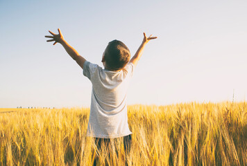 Boy raised his hands in the middle of the wheat field