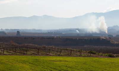 Paisaje rural de vi&ntilde;edos durante el invierno en la Comarca del Pened&eacute;s, Barcelona