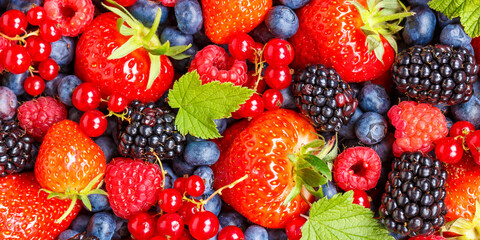 Berries fruits berry fruit strawberries strawberry blueberries blueberry panorama background