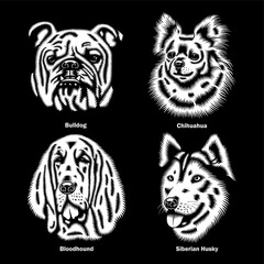 Dog Heads of different Breeds Vector Illustration On Black - obrazy, fototapety, plakaty