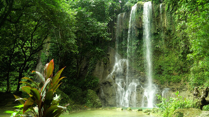 Kawasan Falls in the tropical jungle, Bohol, Philippines. Waterfall in the tropical forest.