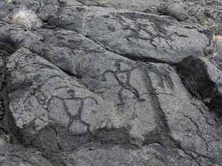 ancient  pu'u loa petroglyphs in the kilauea volcano in  in hawaii volcanoes national park on the big island of hawaii