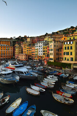 Fototapeta na wymiar characteristic colored Ligurian houses in Camogli overlooking the small sea port