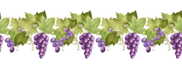 Seamless border of purple grape vines, hand drawn illustration on white background