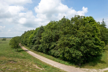 Plakat Aerial view of a sandy path along the edge of the forest. Picture taken by a drone from above a picturesque landscape. Impressive blue sky, view of the surroundings