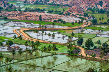 Rocky mountain with paddy field shot is taken at Anjeyanadri Hill hampi karnataka india.