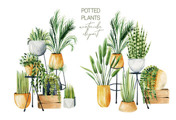 Composition of watercolor potted plants, home plants collection, hand drawn illustration on white background