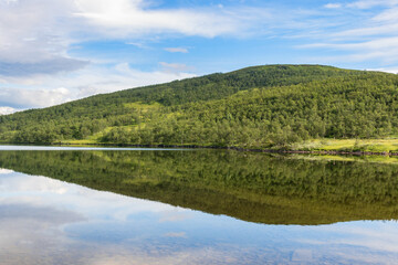 Forest hill at a lake with water reflection